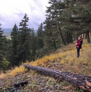 Meet your Posher, Marie